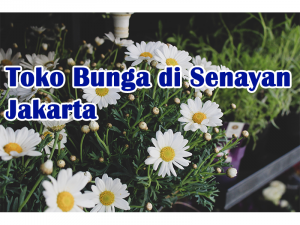 jual karangan bunga di senayan